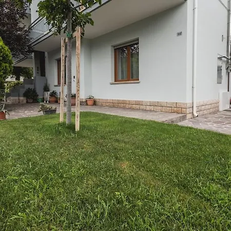 Amazhome - New Jungle Chic *